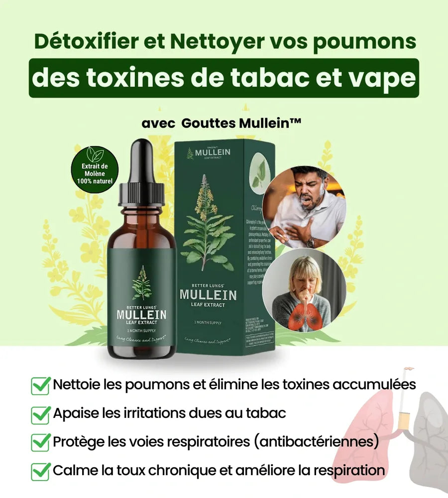 Gouttes de Molène — Respirez Plus Sereinement au Quotidien